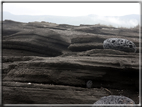 foto Isole Galapagos